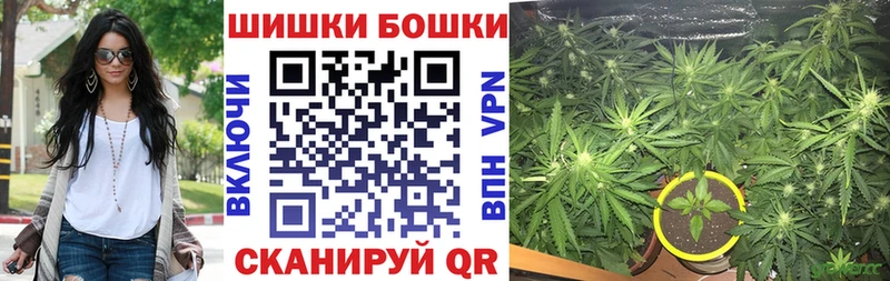Марихуана индика  Артём 